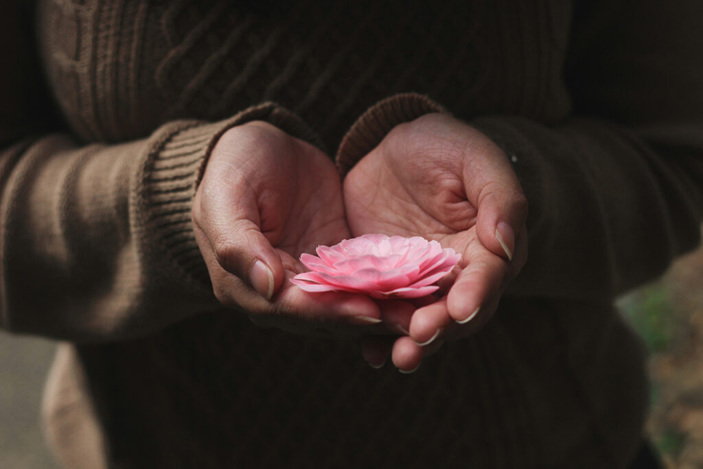Hands gently holding a flower
